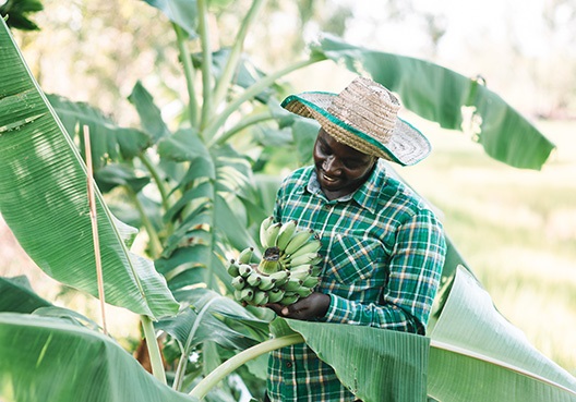 Environmental Conversation