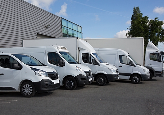 Multiple commercial trucks parked in parking bays
